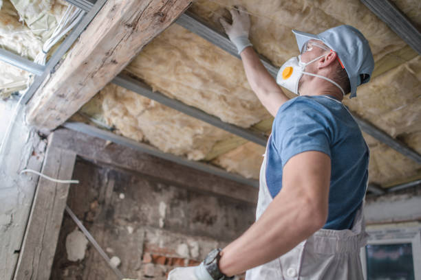 Best Insulation Maintenance and Repair in Six Mile Run, NJ
